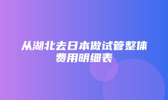 从湖北去日本做试管整体费用明细表