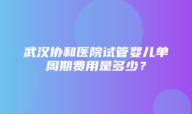 武汉协和医院试管婴儿单周期费用是多少？