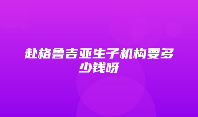 赴格鲁吉亚生子机构要多少钱呀