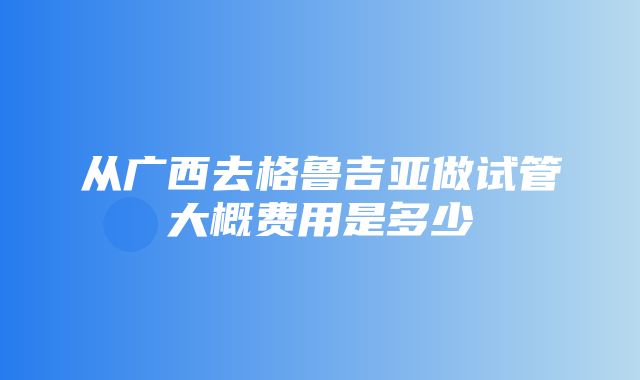 从广西去格鲁吉亚做试管大概费用是多少