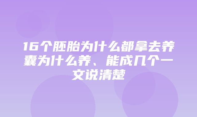 16个胚胎为什么都拿去养囊为什么养、能成几个一文说清楚