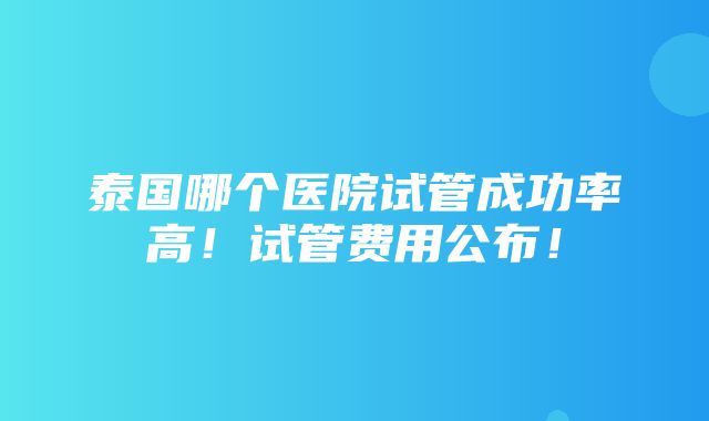 泰国哪个医院试管成功率高！试管费用公布！