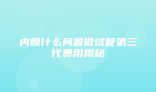 内膜什么问题做试管第三代费用揭秘