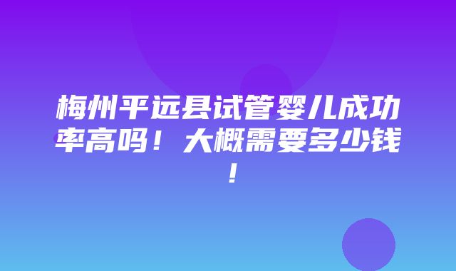 梅州平远县试管婴儿成功率高吗！大概需要多少钱！