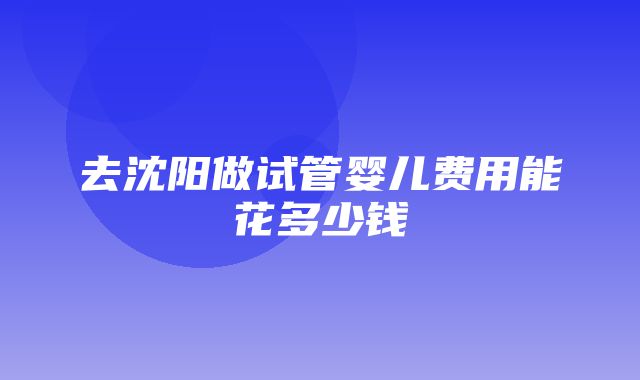 去沈阳做试管婴儿费用能花多少钱