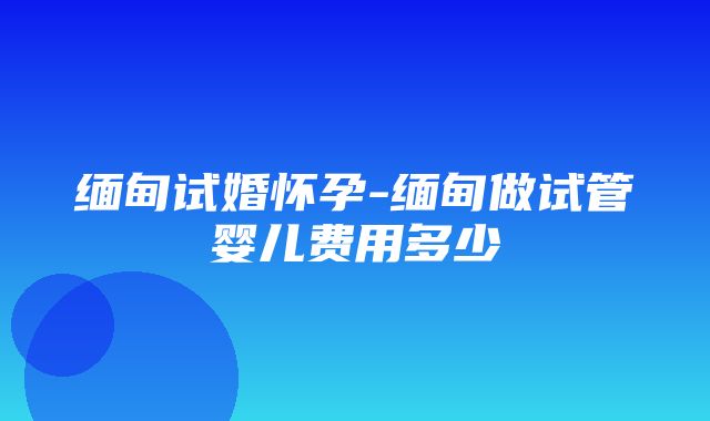 缅甸试婚怀孕-缅甸做试管婴儿费用多少