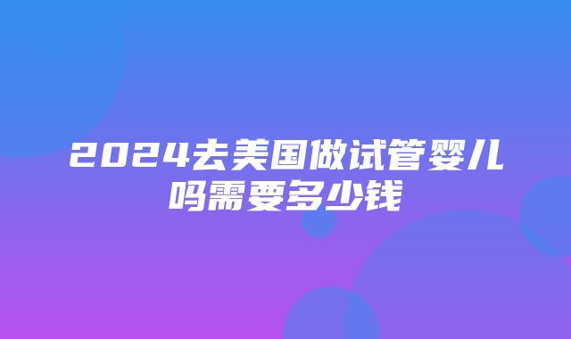 2024去美国做试管婴儿吗需要多少钱