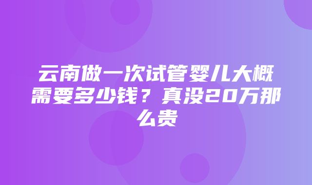 云南做一次试管婴儿大概需要多少钱？真没20万那么贵