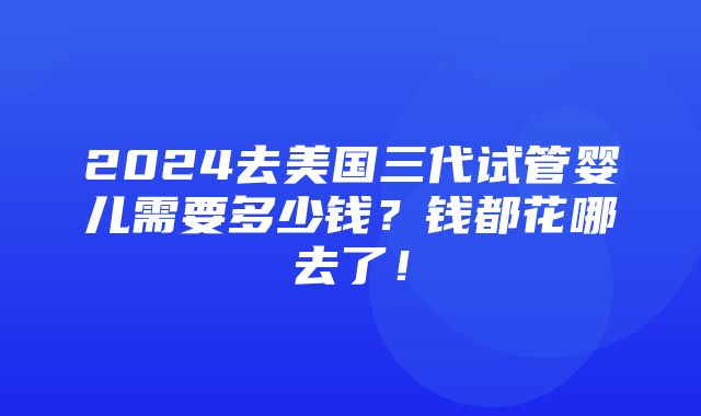 2024去美国三代试管婴儿需要多少钱？钱都花哪去了！