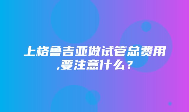 上格鲁吉亚做试管总费用,要注意什么？