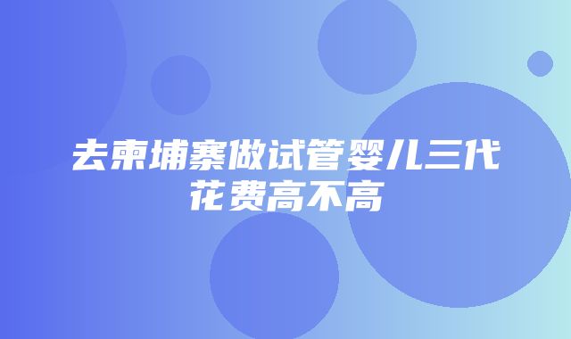 去柬埔寨做试管婴儿三代花费高不高