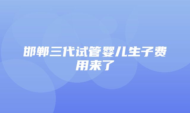 邯郸三代试管婴儿生子费用来了