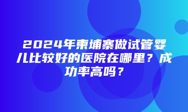 2024年柬埔寨做试管婴儿比较好的医院在哪里？成功率高吗？