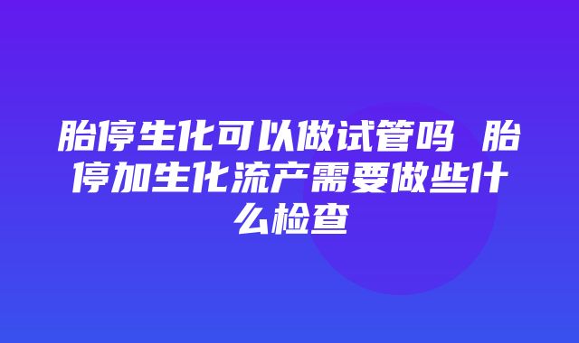 胎停生化可以做试管吗 胎停加生化流产需要做些什么检查