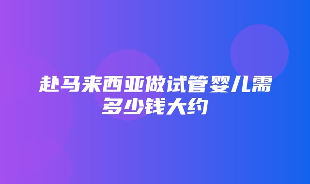 赴马来西亚做试管婴儿需多少钱大约