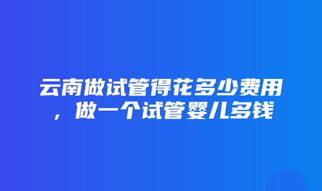 云南做试管得花多少费用，做一个试管婴儿多钱