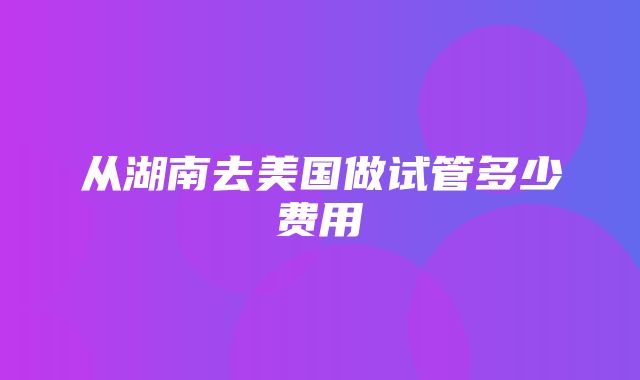 从湖南去美国做试管多少费用