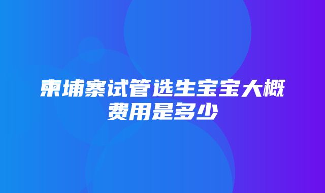 柬埔寨试管选生宝宝大概费用是多少