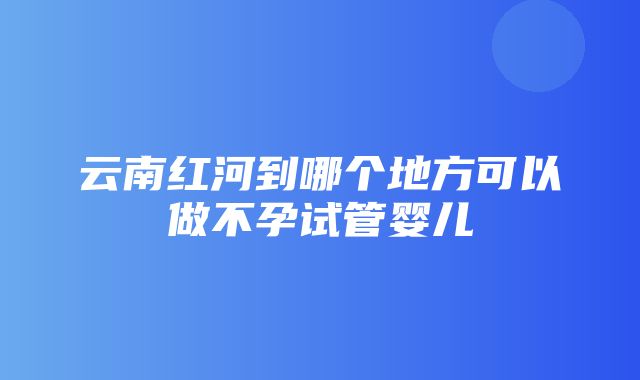 云南红河到哪个地方可以做不孕试管婴儿