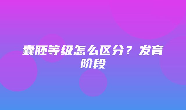 囊胚等级怎么区分？发育阶段