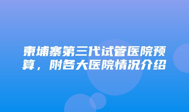 柬埔寨第三代试管医院预算，附各大医院情况介绍