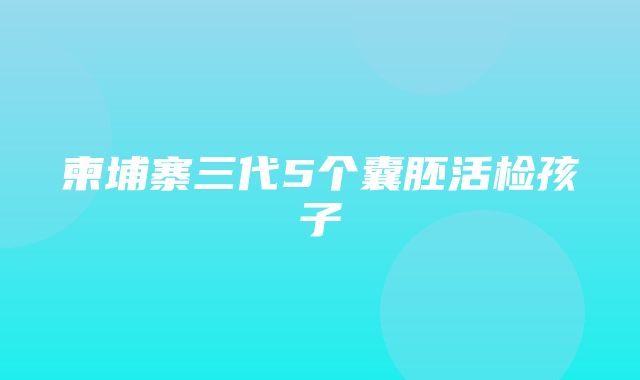 柬埔寨三代5个囊胚活检孩子