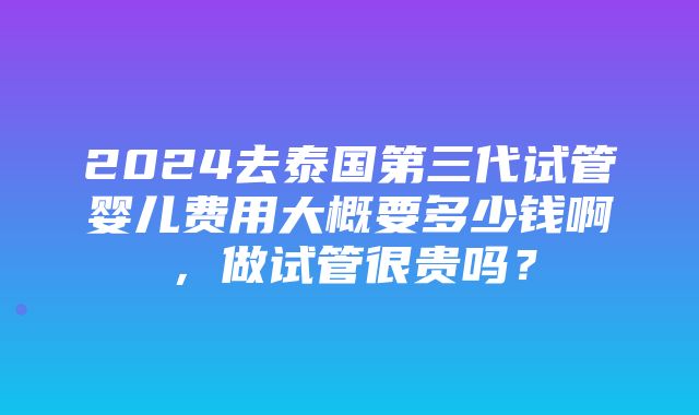 2024去泰国第三代试管婴儿费用大概要多少钱啊，做试管很贵吗？