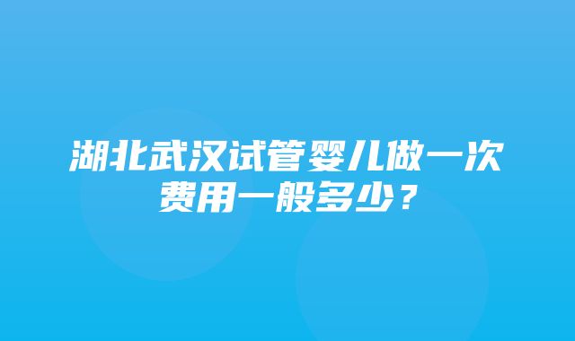 湖北武汉试管婴儿做一次费用一般多少？