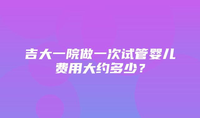 吉大一院做一次试管婴儿费用大约多少？