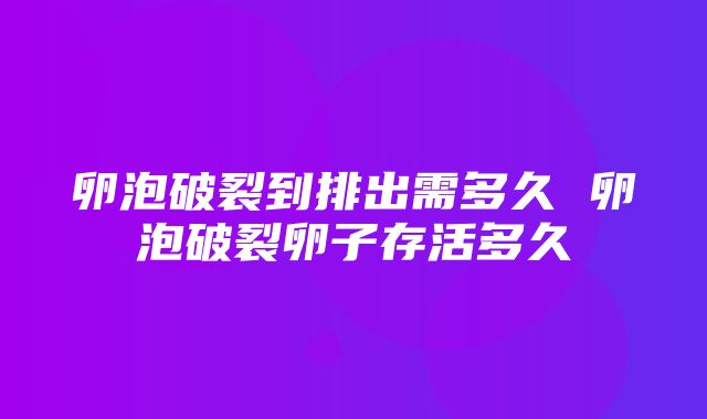 卵泡破裂到排出需多久 卵泡破裂卵子存活多久