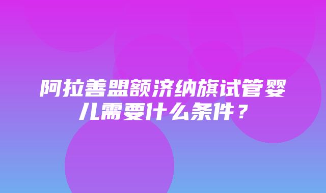 阿拉善盟额济纳旗试管婴儿需要什么条件？