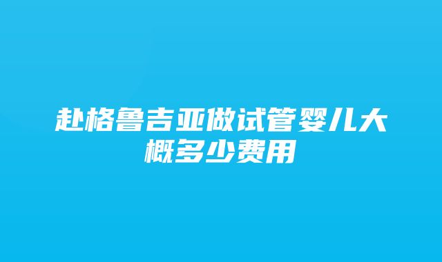 赴格鲁吉亚做试管婴儿大概多少费用