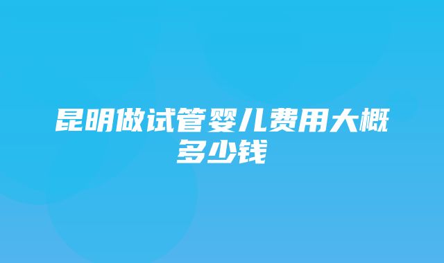 昆明做试管婴儿费用大概多少钱