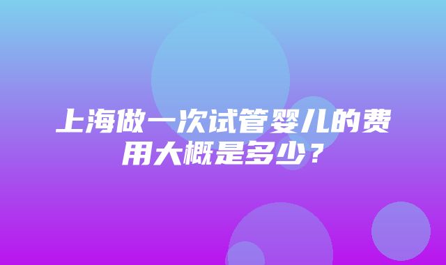 上海做一次试管婴儿的费用大概是多少？