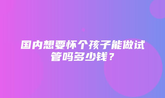 国内想要怀个孩子能做试管吗多少钱？