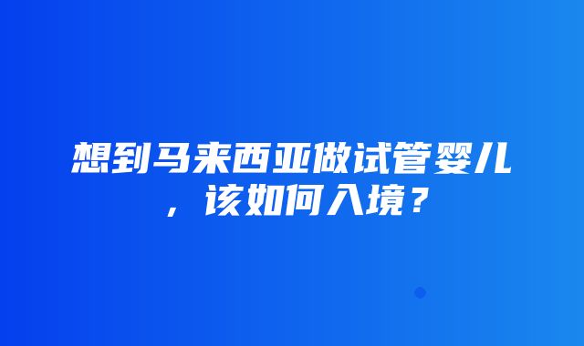 想到马来西亚做试管婴儿，该如何入境？