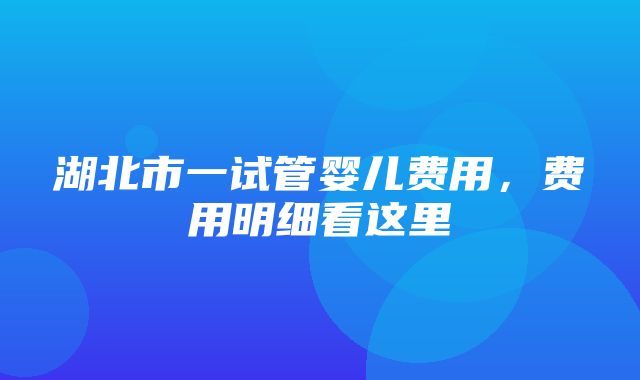 湖北市一试管婴儿费用，费用明细看这里