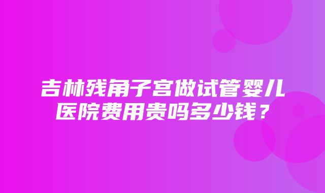 吉林残角子宫做试管婴儿医院费用贵吗多少钱？