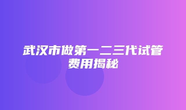 武汉市做第一二三代试管费用揭秘