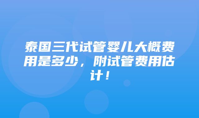 泰国三代试管婴儿大概费用是多少，附试管费用估计！