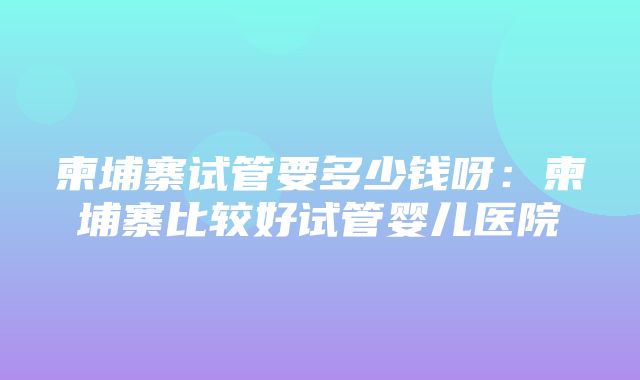 柬埔寨试管要多少钱呀：柬埔寨比较好试管婴儿医院