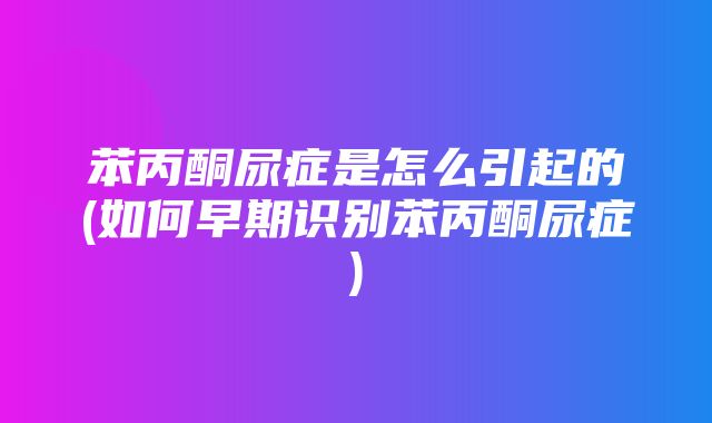 苯丙酮尿症是怎么引起的(如何早期识别苯丙酮尿症)