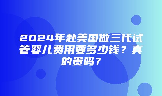 2024年赴美国做三代试管婴儿费用要多少钱？真的贵吗？