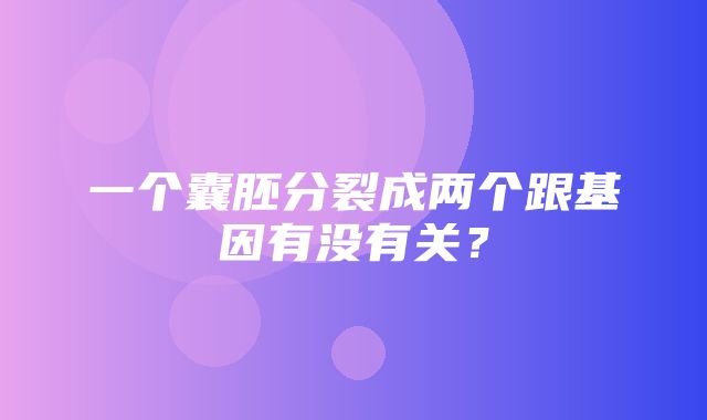 一个囊胚分裂成两个跟基因有没有关？