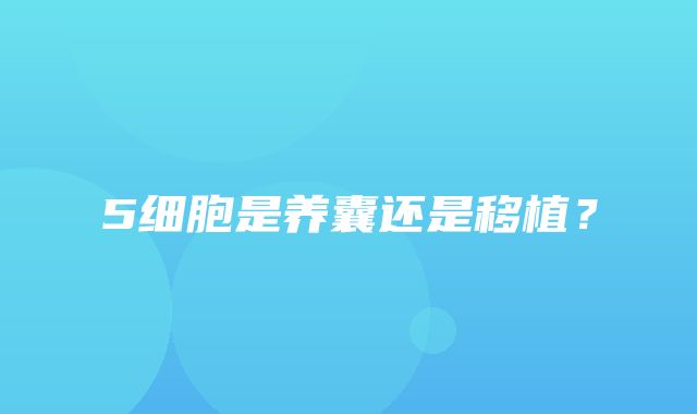 5细胞是养囊还是移植？