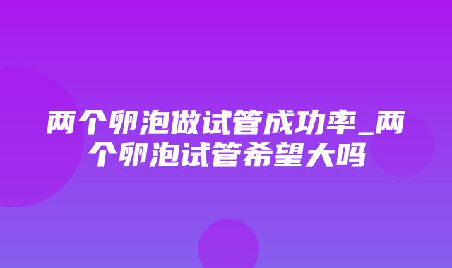 两个卵泡做试管成功率_两个卵泡试管希望大吗