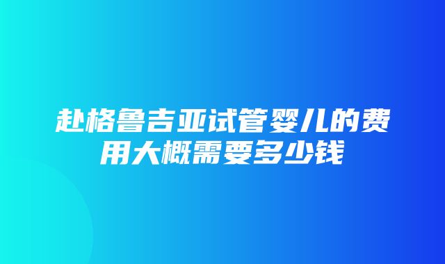 赴格鲁吉亚试管婴儿的费用大概需要多少钱