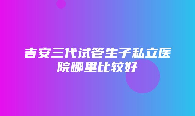 吉安三代试管生子私立医院哪里比较好