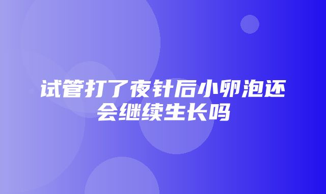 试管打了夜针后小卵泡还会继续生长吗