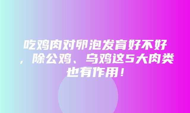 吃鸡肉对卵泡发育好不好，除公鸡、乌鸡这5大肉类也有作用！